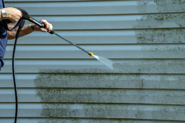 Reliable Rainelle, WV Pressure Washing Services Solutions